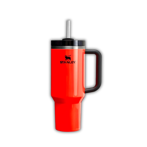VACUUM INSULATED STAINLESS STEEL TUMBLER WITH LID AND STRAW
